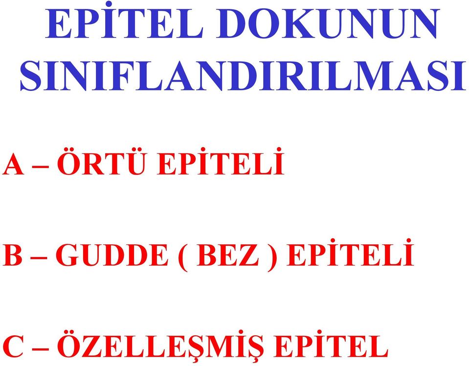 ÖRTÜ EPİTELİ B GUDDE (