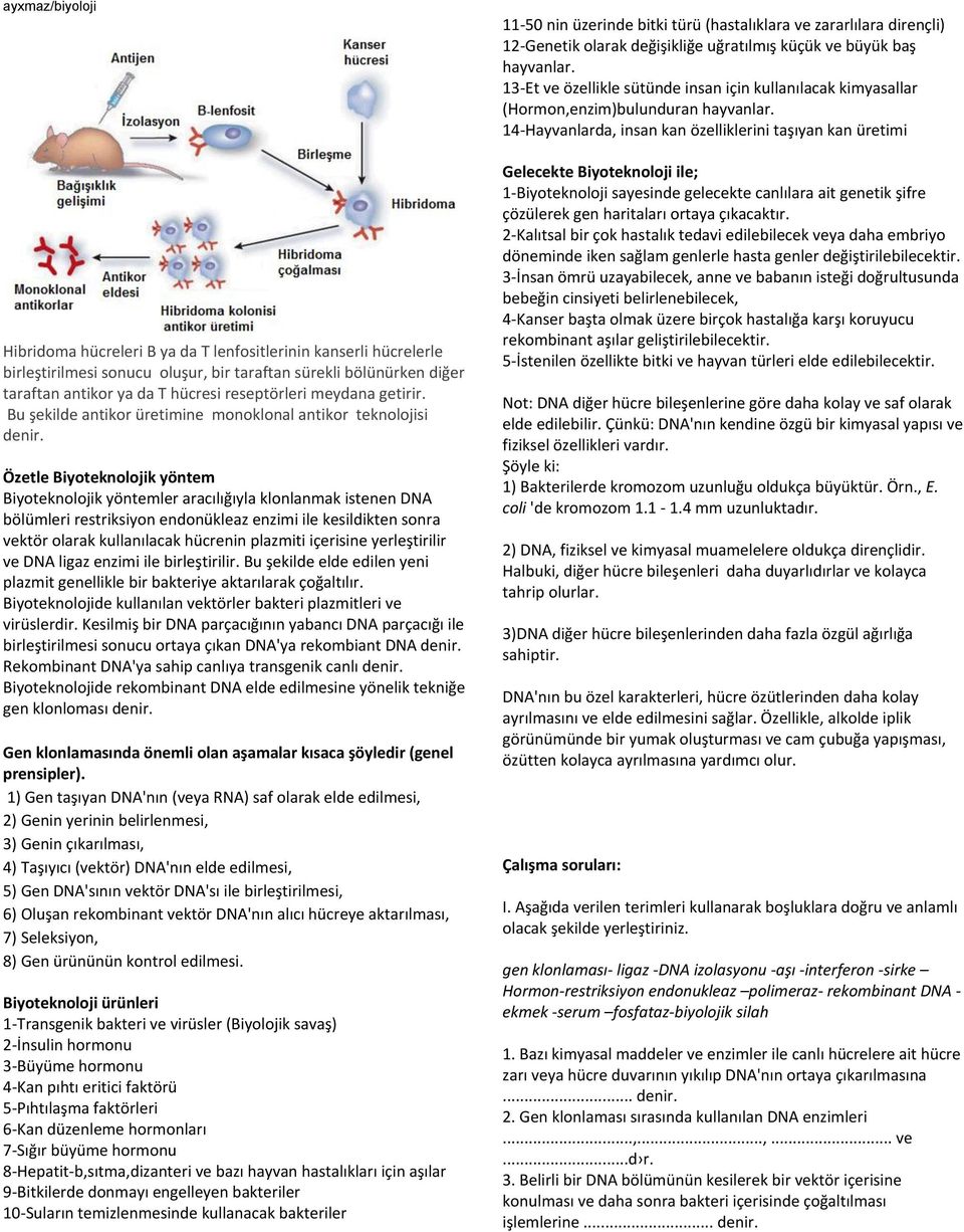 Özetle Biyoteknolojik yöntem Biyoteknolojik yöntemler aracılığıyla klonlanmak istenen DNA bölümleri restriksiyon endonükleaz enzimi ile kesildikten sonra vektör olarak kullanılacak hücrenin plazmiti