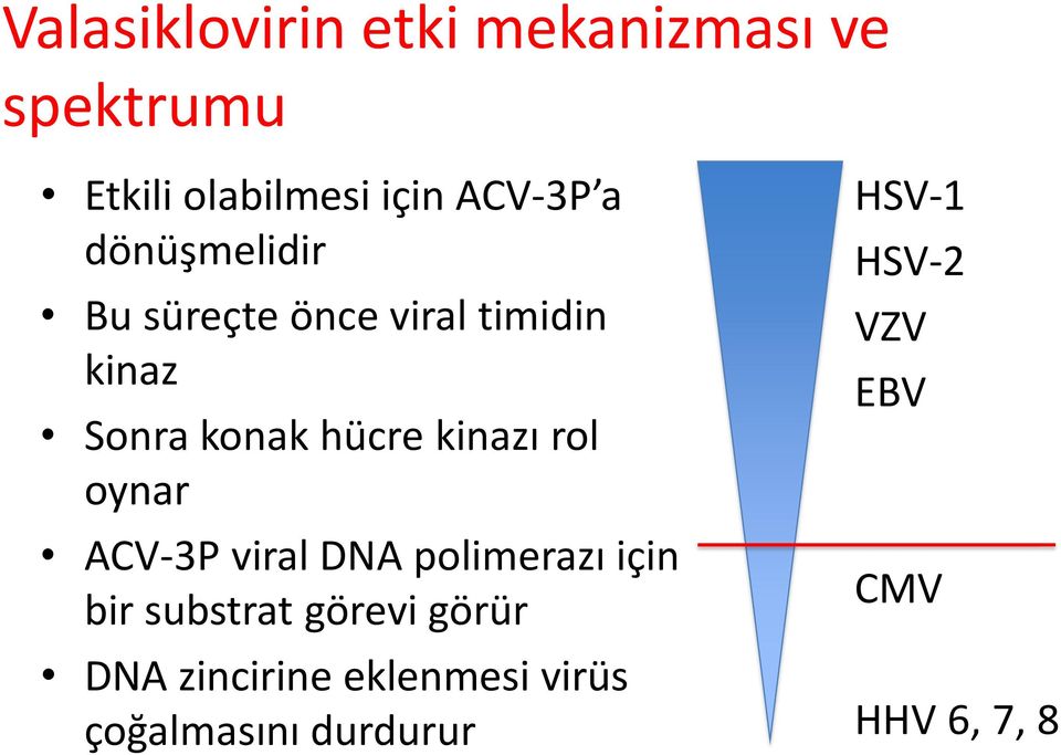 rol oynar ACV-3P viral DNA polimerazı için bir substrat görevi görür DNA