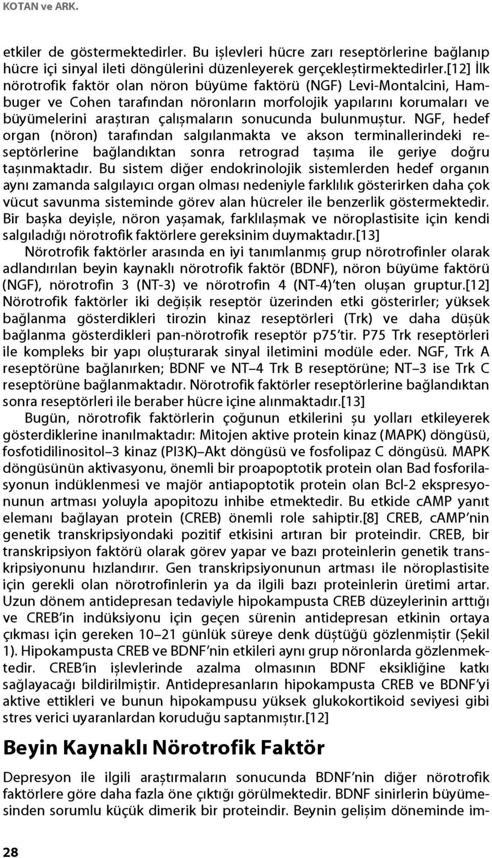 bulunmuștur. NGF, hedef organ (nöron) tarafından salgılanmakta ve akson terminallerindeki reseptörlerine bağlandıktan sonra retrograd tașıma ile geriye doğru tașınmaktadır.