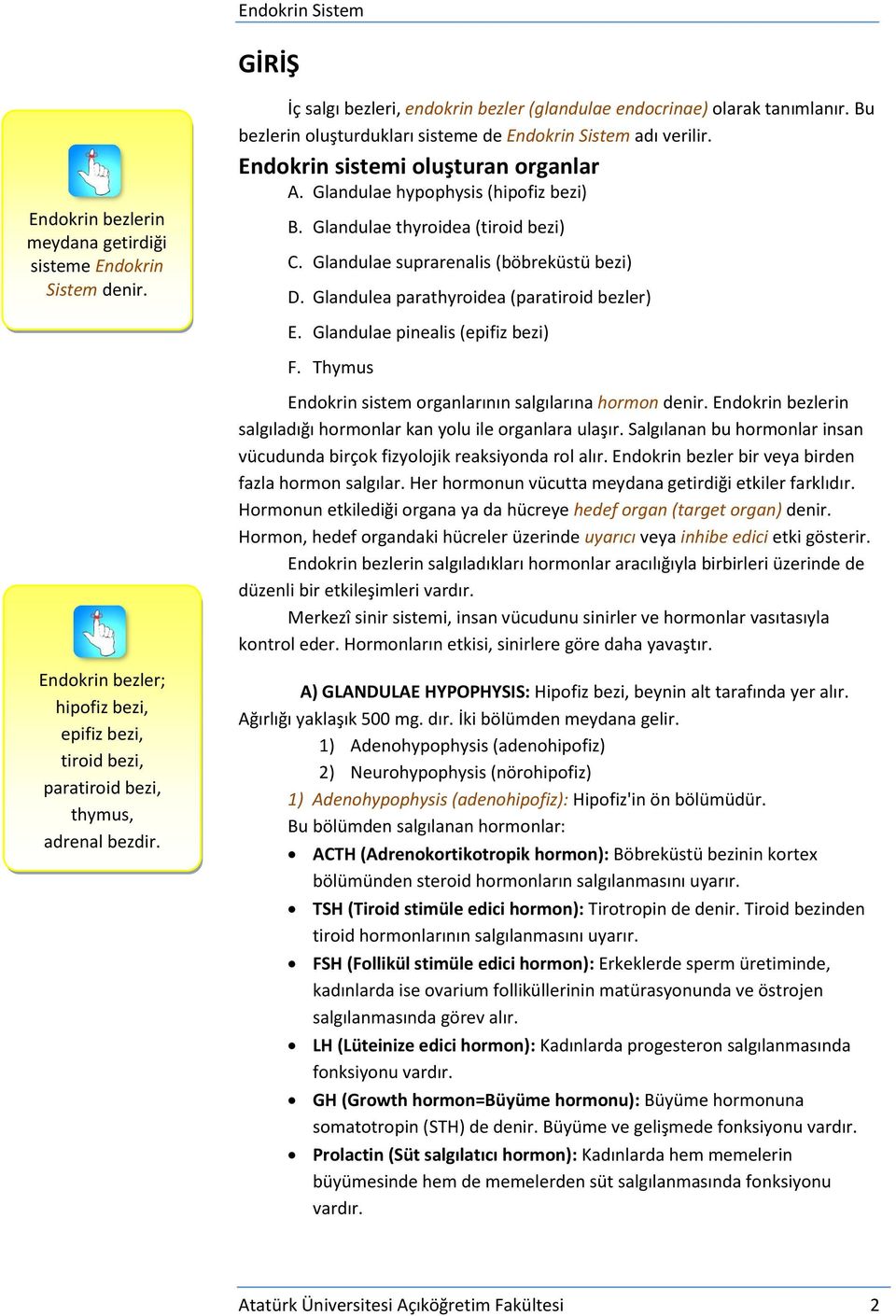 Glandulae suprarenalis (böbreküstü bezi) D. Glandulea parathyroidea (paratiroid bezler) E. Glandulae pinealis (epifiz bezi) F. Thymus Endokrin sistem organlarının salgılarına hormon denir.