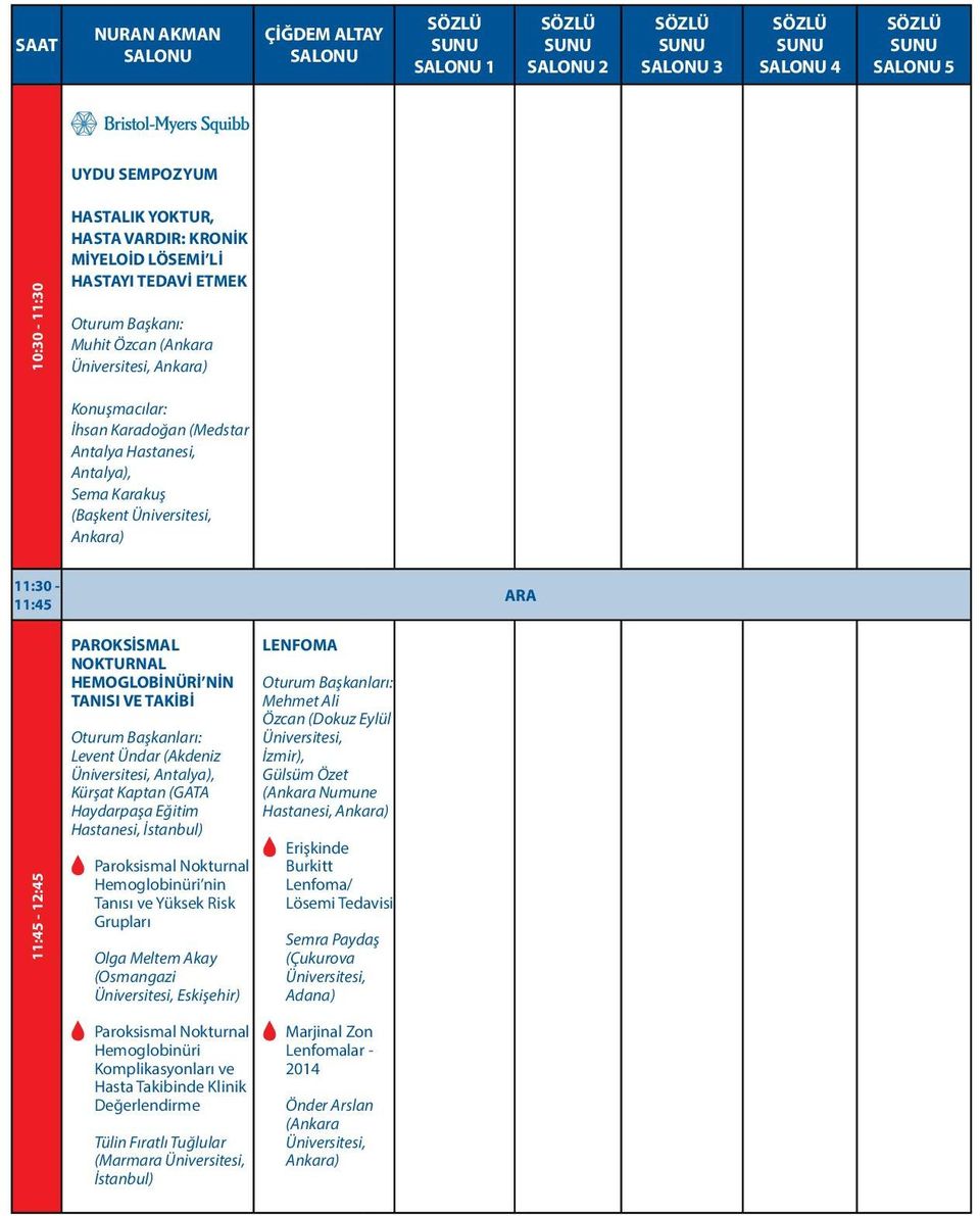 Hemoglobinüri nin Tanısı ve Yüksek Risk Grupları Olga Meltem Akay (Osmangazi Eskişehir) LENFOMA Mehmet Ali Özcan (Dokuz Eylül İzmir), Gülsüm Özet Numune Erişkinde Burkitt Lenfoma/ Lösemi