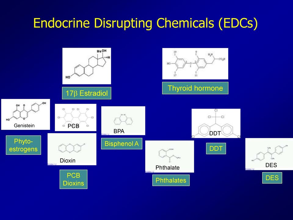 Phytoestrogens PCB BPA Bisphenol A DDT