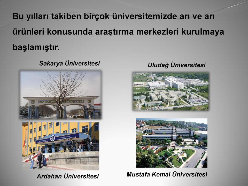 kurulmaya başlamıştır.