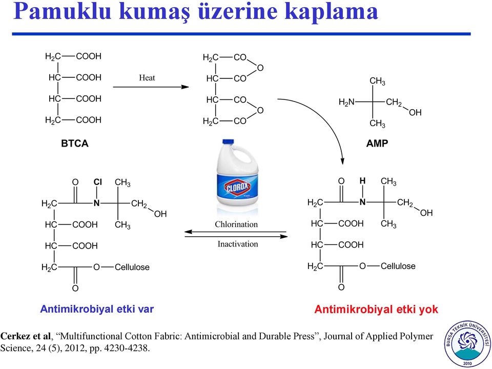 Cotton Fabric: Antimicrobial and Durable Press,