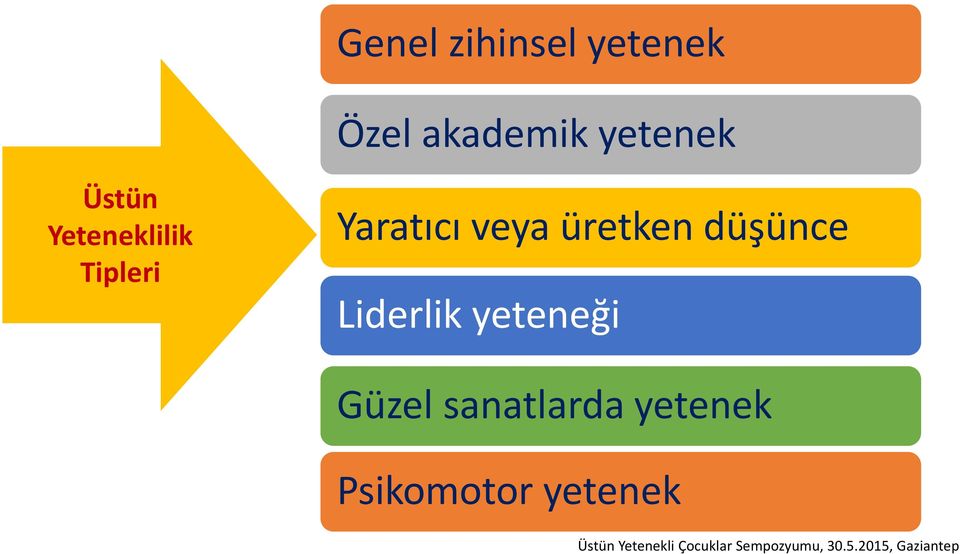 Liderlik yeteneği Güzel sanatlarda yetenek Psikomotor