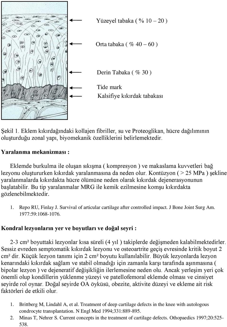 Yaralanma mekanizması : Eklemde burkulma ile oluşan sıkışma ( kompresyon ) ve makaslama kuvvetleri bağ lezyonu oluştururken kıkırdak yaralanmasına da neden olur.