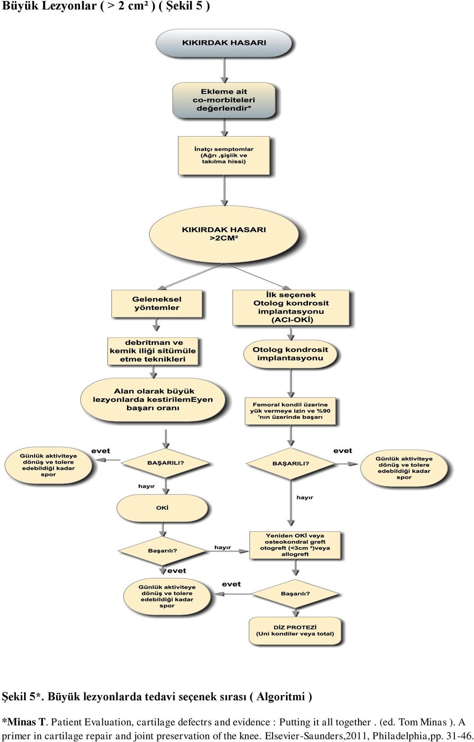 Patient Evaluation, cartilage defectrs and evidence : Putting it all together.