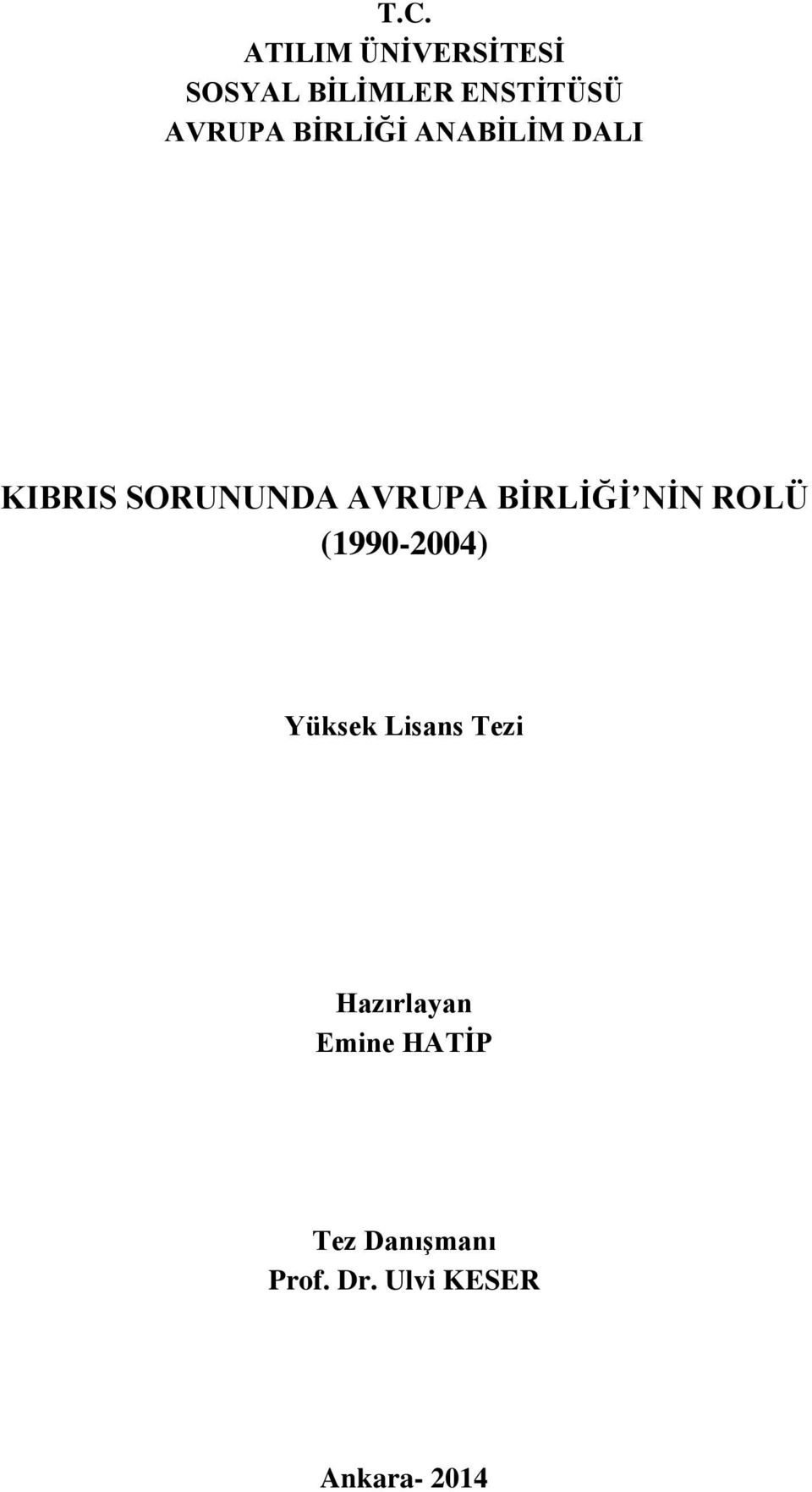 BİRLİĞİ NİN ROLÜ (1990-2004) Yüksek Lisans Tezi