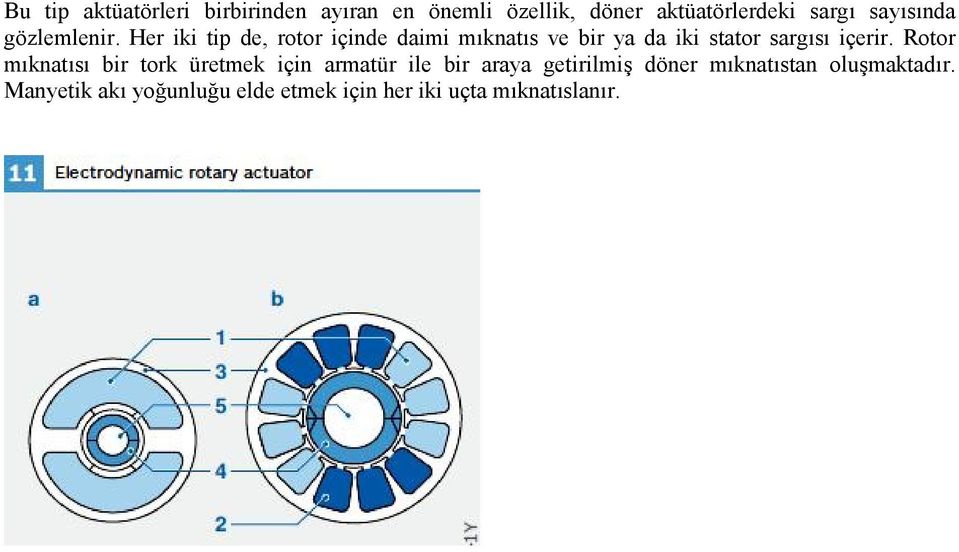 Her iki tip de, rotor içinde daimi mıknatıs ve bir ya da iki stator sargısı içerir.