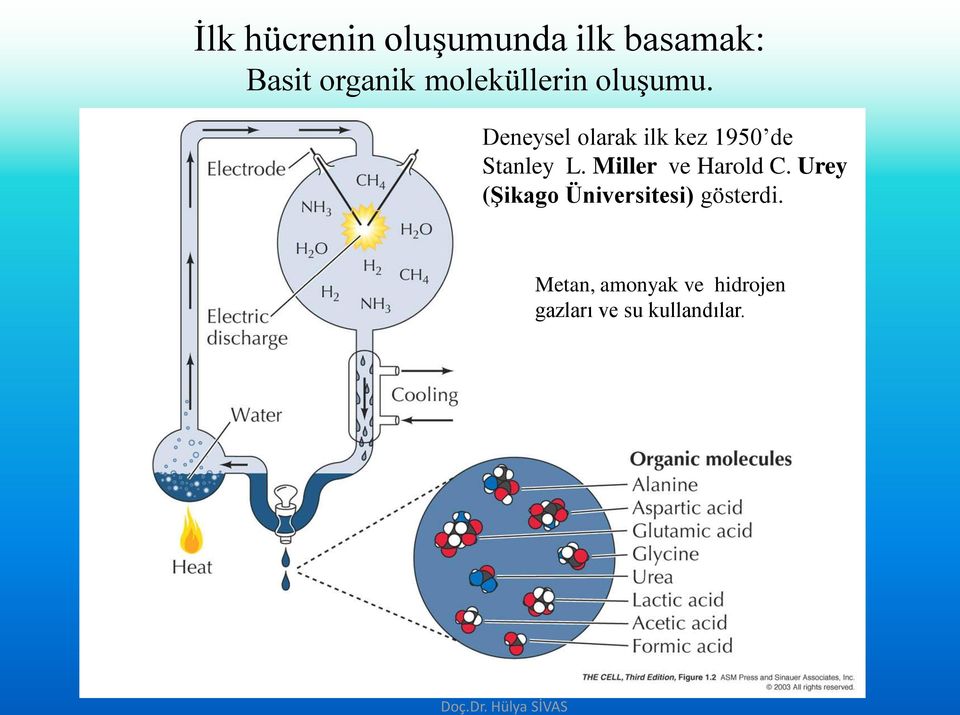 Deneysel olarak ilk kez 1950 de Stanley L.