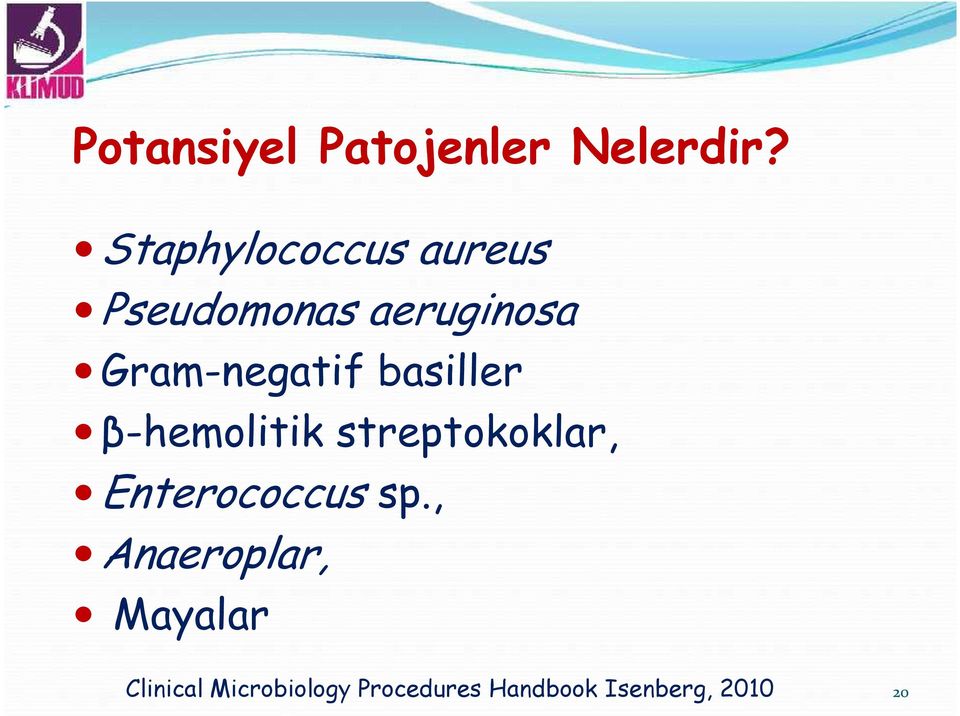 Gram-negatif basiller β-hemolitik streptokoklar,