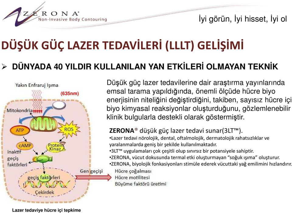 ZERONA düşük güç lazer tedavi sunar(3lt ). Lazer tedavi nörolojik, dental, oftalmolojik, dermatolojik rahatsızlıklar ve yaralanmalarda geniş bir şekilde kullanılmaktadır.