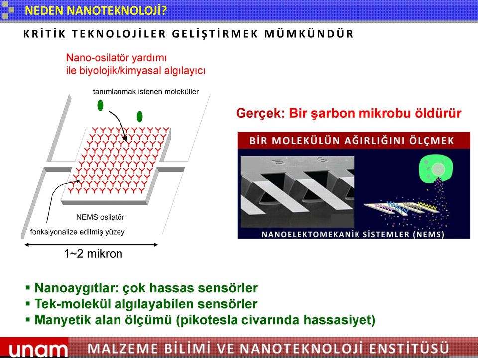 Nano-osilatör yardımı ile biyolojik/kimyasal algılayıcı Gerçek: Bir şarbon