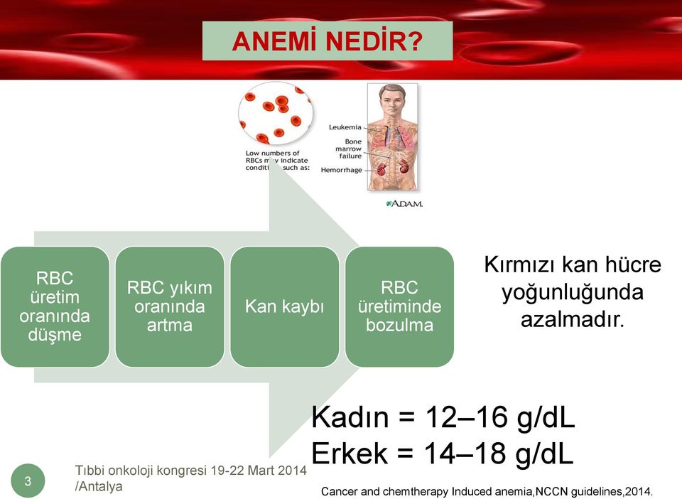 kaybı RBC üretiminde bozulma Kırmızı kan hücre yoğunluğunda