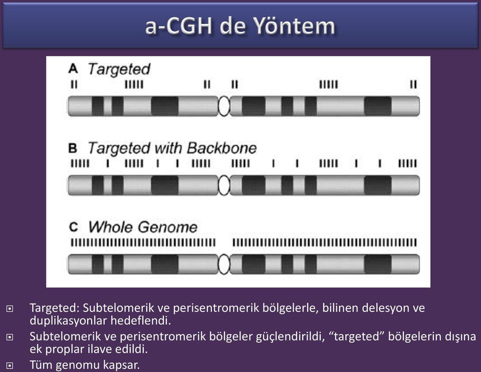 Subtelomerik ve perisentromerik bölgeler güçlendirildi,