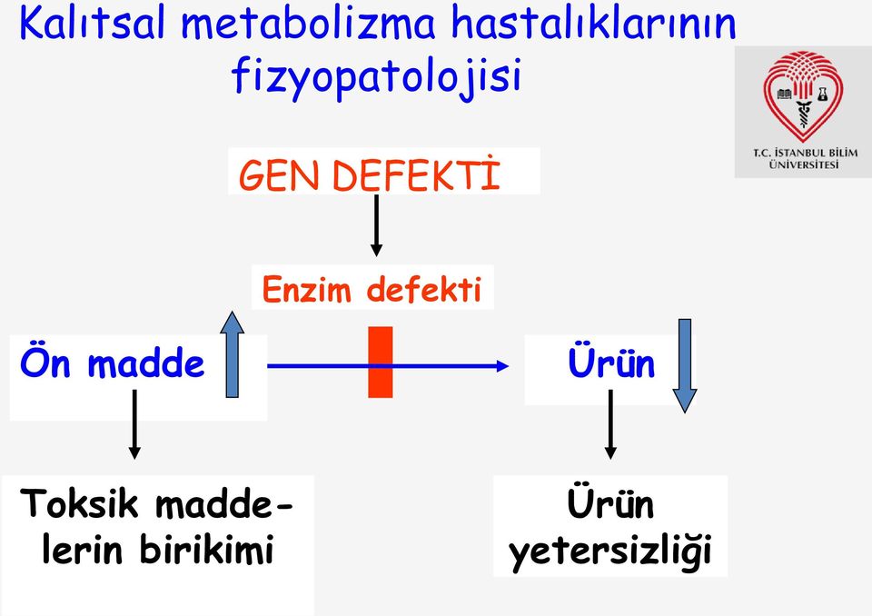 GEN DEFEKTİ Enzim defekti Ön madde