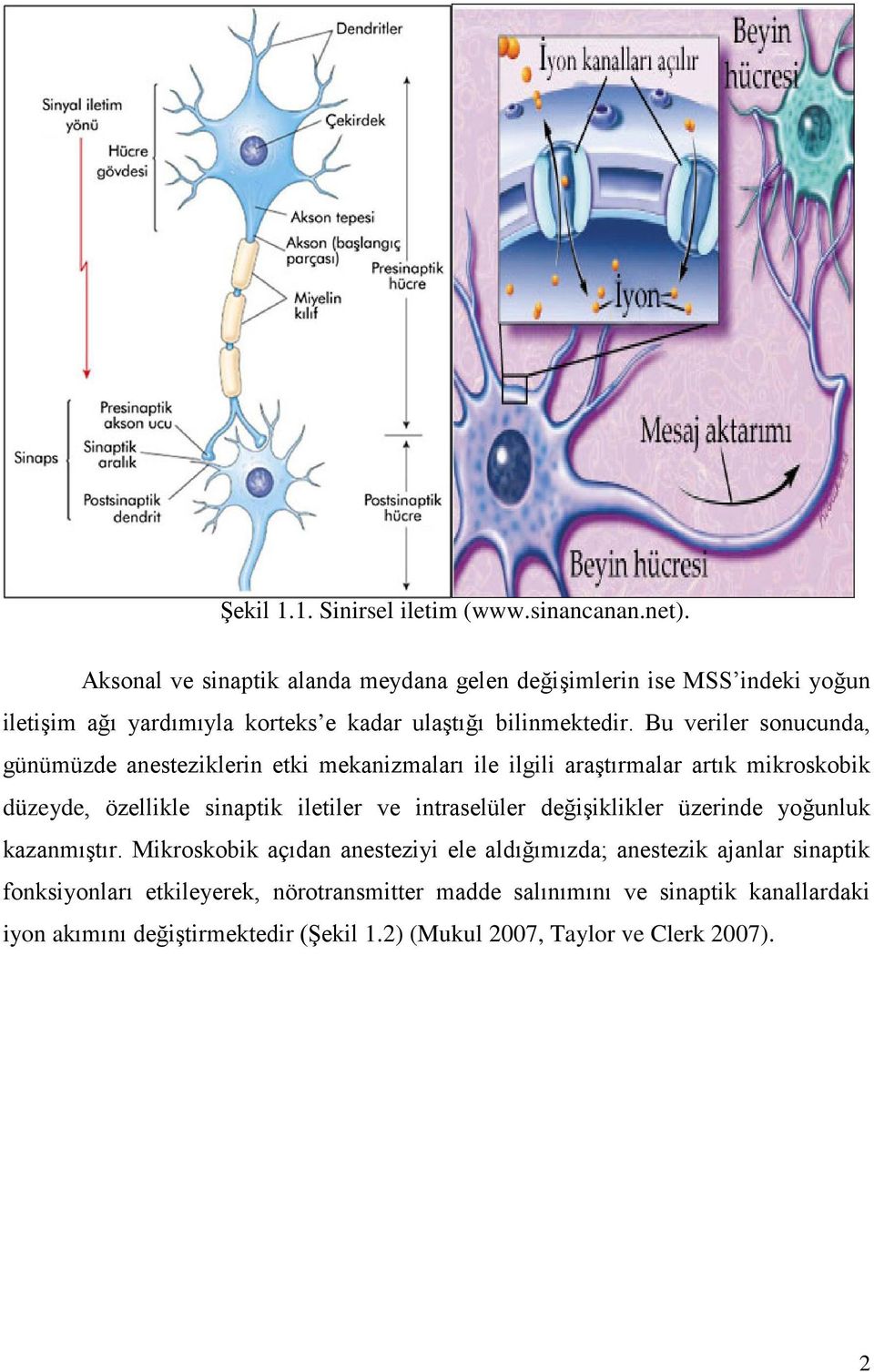 Bu veriler sonucunda, günümüzde anesteziklerin etki mekanizmaları ile ilgili araştırmalar artık mikroskobik düzeyde, özellikle sinaptik iletiler ve