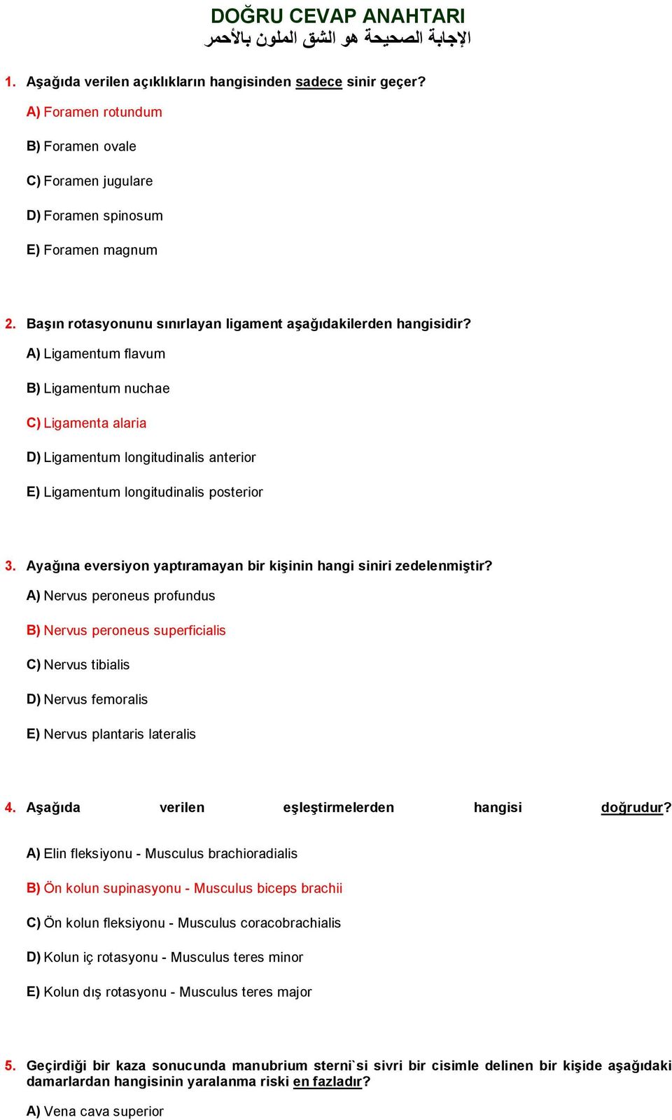 A) Ligamentum flavum B) Ligamentum nuchae C) Ligamenta alaria D) Ligamentum longitudinalis anterior E) Ligamentum longitudinalis posterior 3.