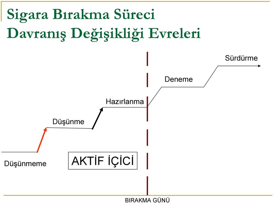 Deneme Hazırlanma Düşünme