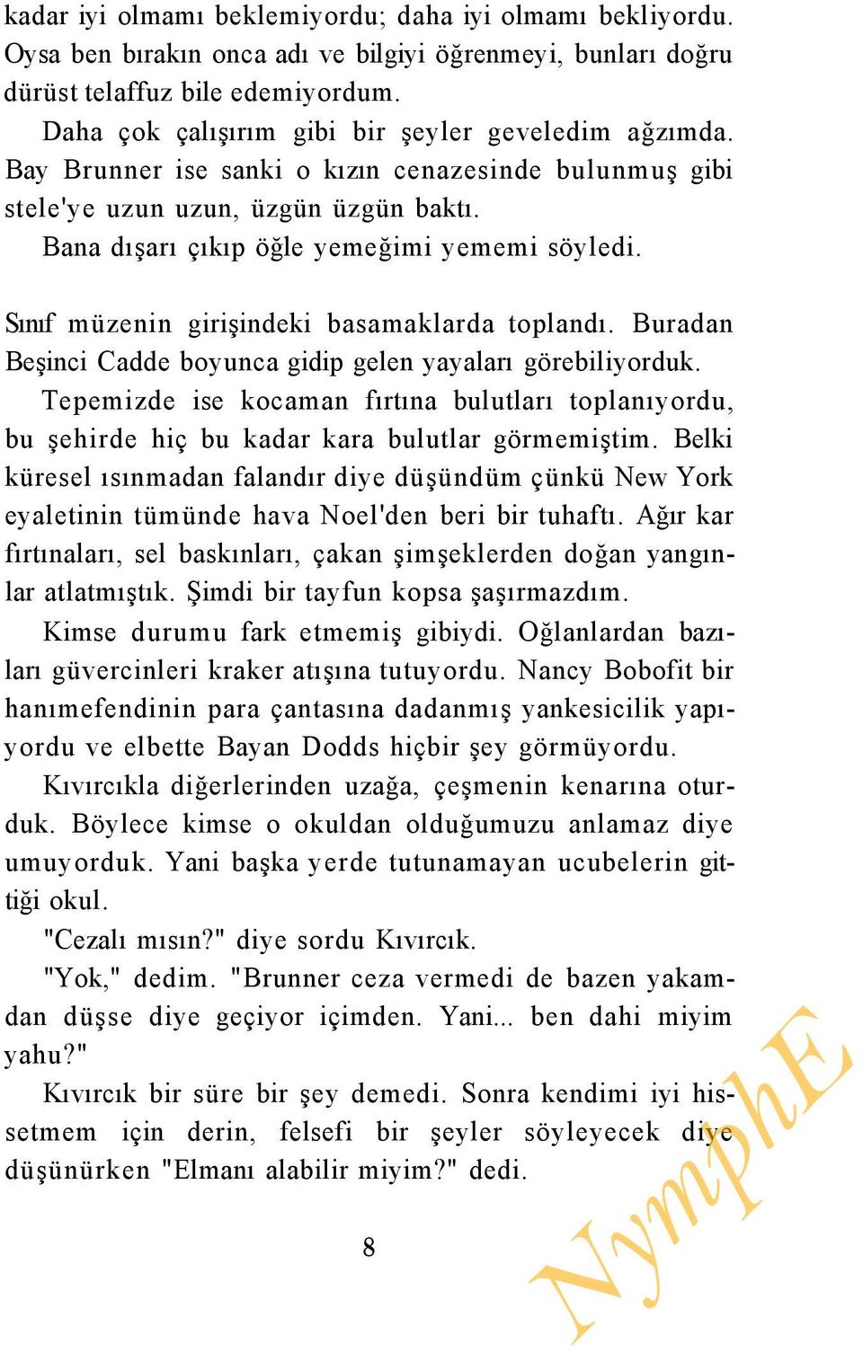 Sınıf müzenin girişindeki basamaklarda toplandı. Buradan Beşinci Cadde boyunca gidip gelen yayaları görebiliyorduk.