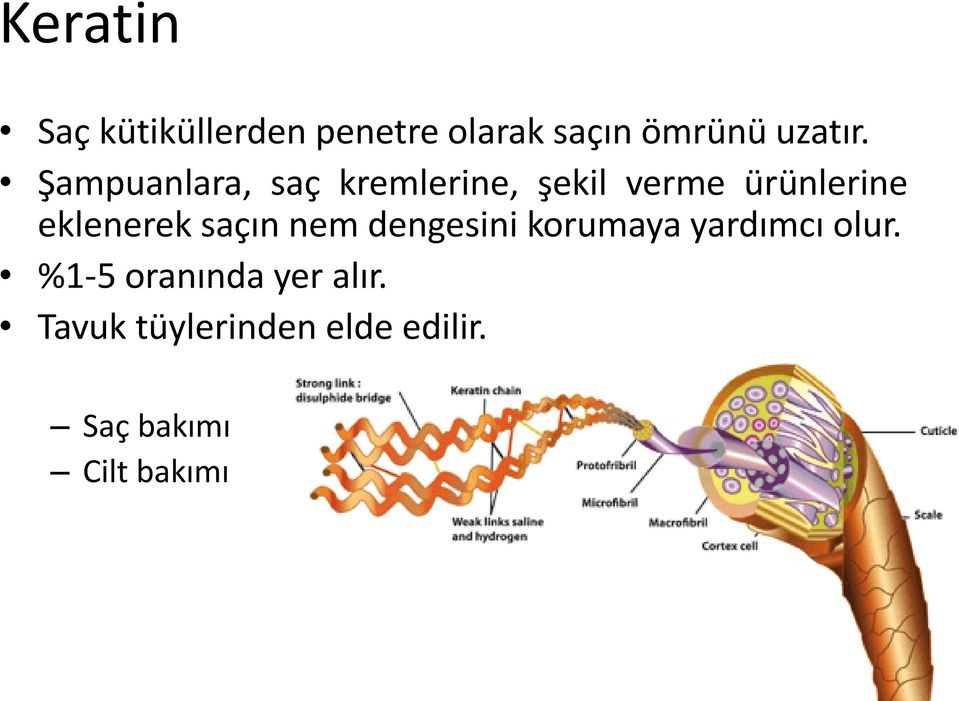 saçın nem dengesini korumaya yardımcı olur.