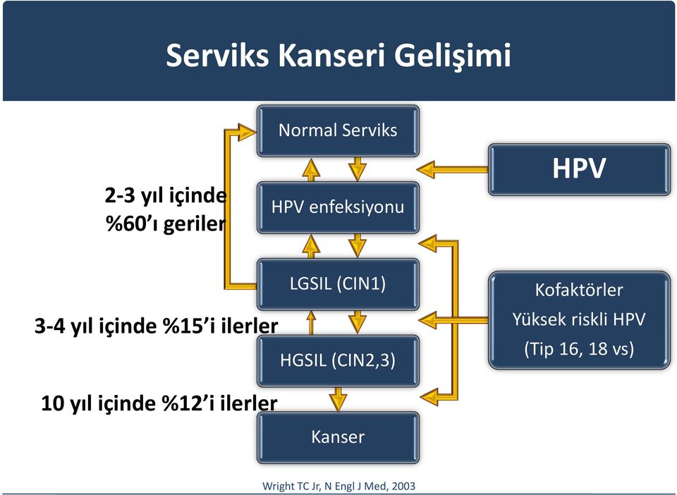 (CIN1) HGSIL (CIN2,3) Kofaktörler Yüksek riskli HPV (Tip 16, 18