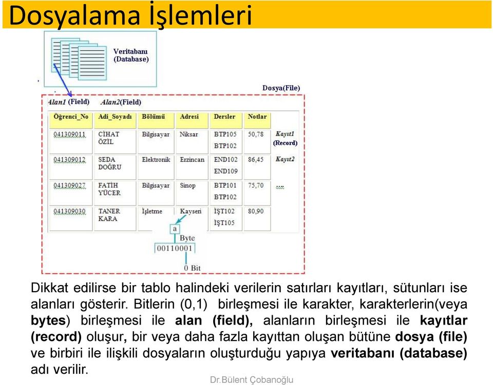 Bitlerin (0,1) birleşmesi ile karakter, karakterlerin(veya bytes) birleşmesi ile alan (field),