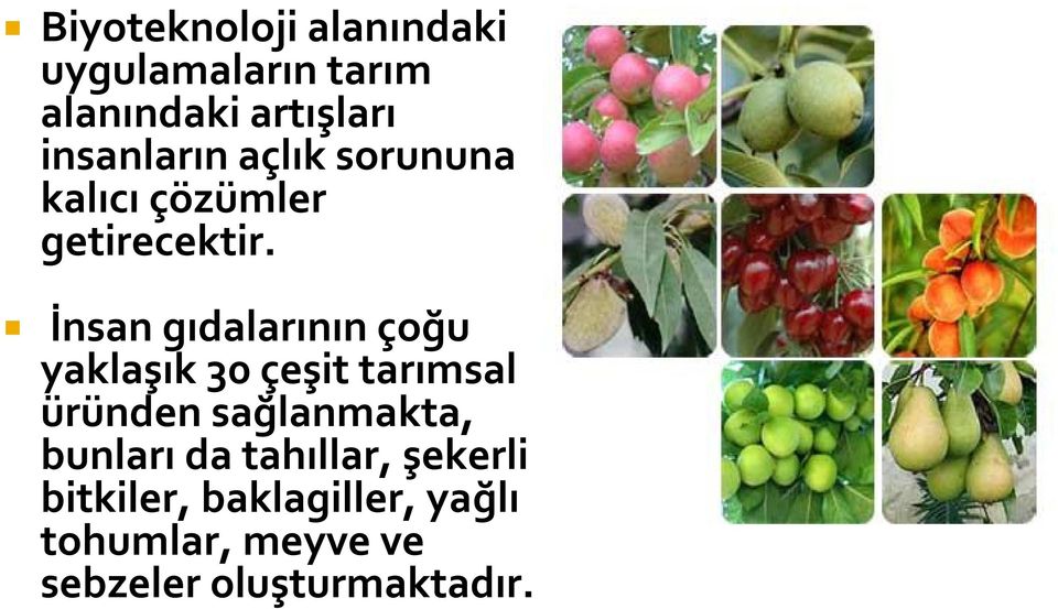 İnsan gıdalarının çoğu yaklaşık 30 çeşit tarımsal üründen sağlanmakta,