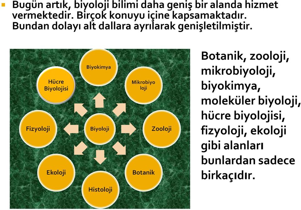 Bundan dolayı alt dallara ayrılarak genişletilmiştir.