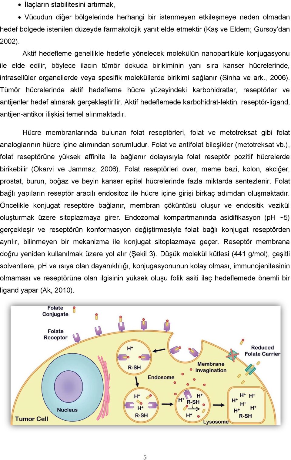 Aktif hedefleme genellikle hedefle yönelecek molekülün nanopartiküle konjugasyonu ile elde edilir, böylece ilacın tümör dokuda birikiminin yanı sıra kanser hücrelerinde, intrasellüler organellerde