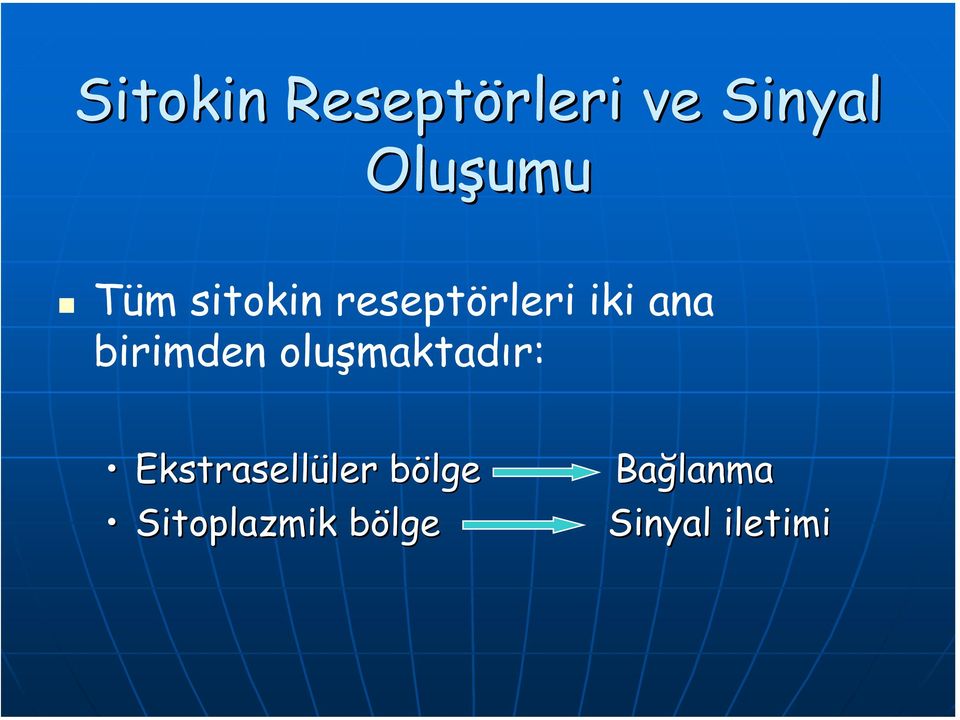 birimden oluşmaktadır: Ekstrasellüler