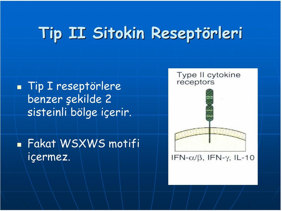 şekilde 2 sisteinli bölge