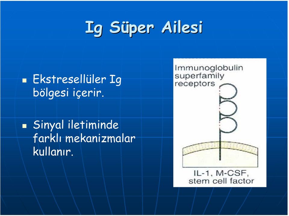 bölgesi içerir.