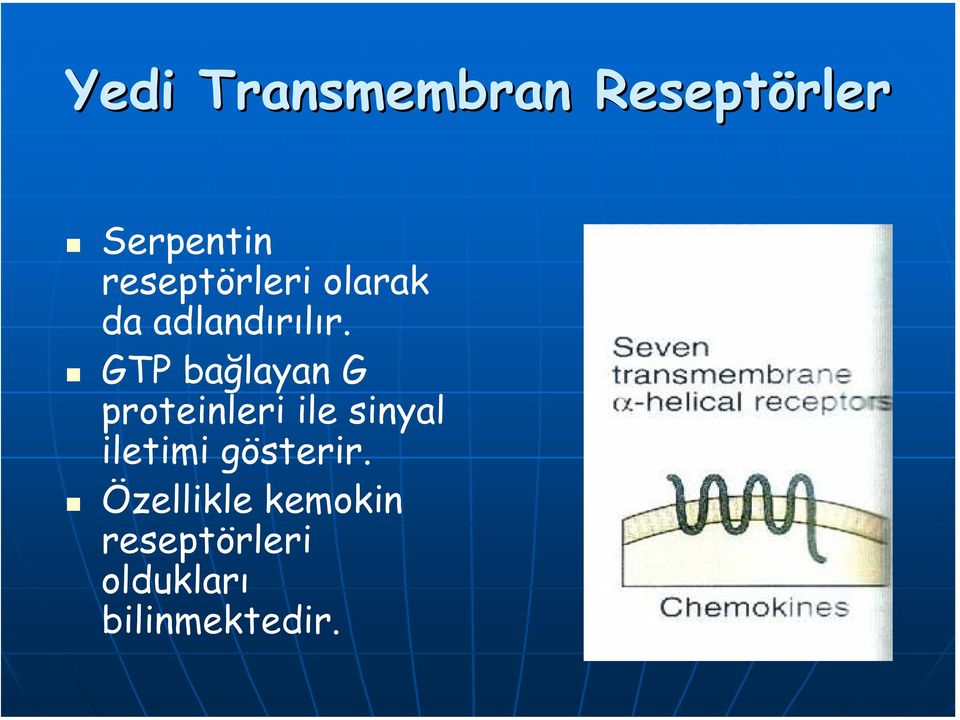 GTP bağlayan G proteinleri ile sinyal iletimi