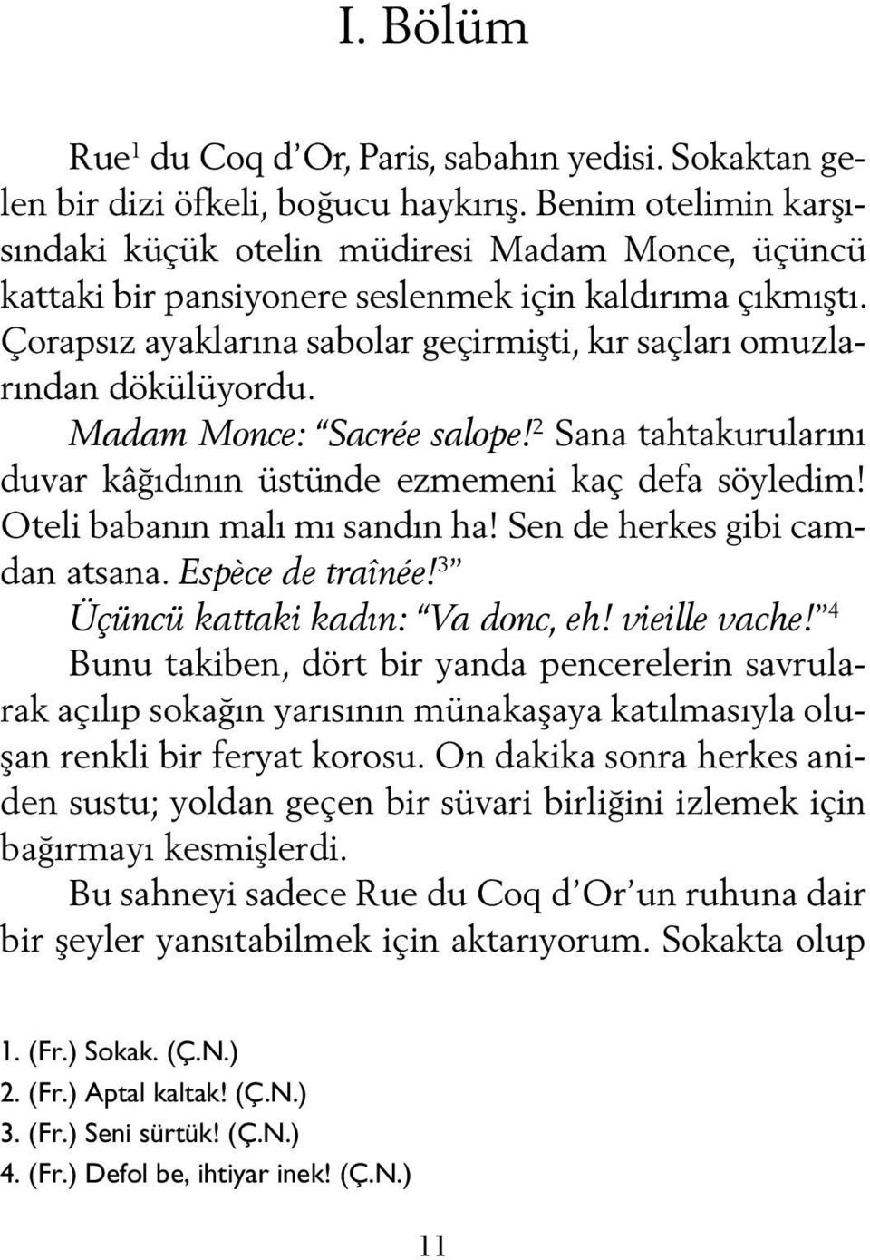 Çorapsız ayaklarına sabolar geçirmişti, kır saçları omuzlarından dökülüyordu. Madam Monce: Sacrée salope! 2 Sana tahtakurularını duvar kâğıdının üstünde ezmemeni kaç defa söyledim!