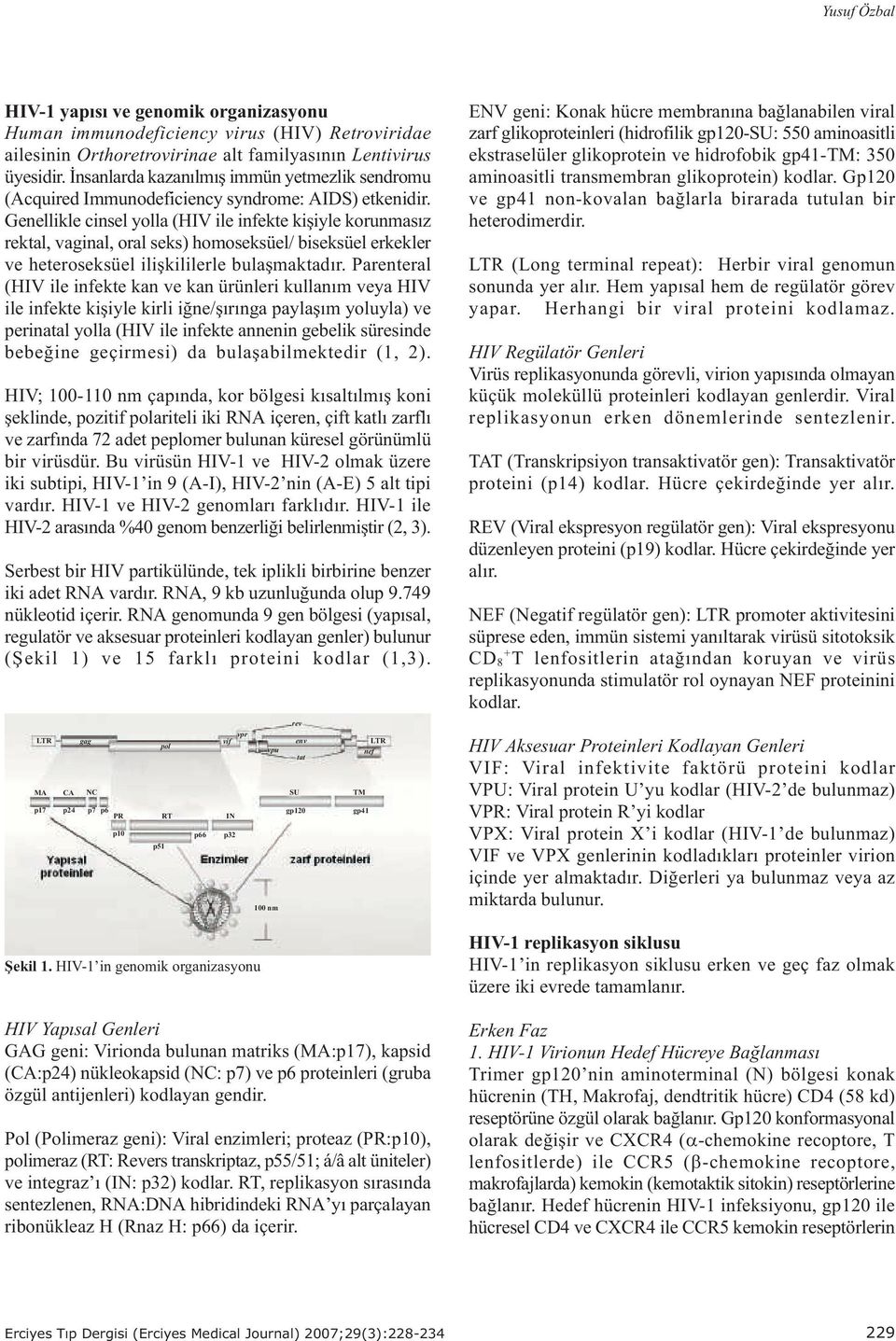 Genellikle cinsel yolla (HIV ile infekte kiþiyle korunmasýz rektal, vaginal, oral seks) homoseksüel/ biseksüel erkekler ve heteroseksüel iliþkililerle bulaþmaktadýr.