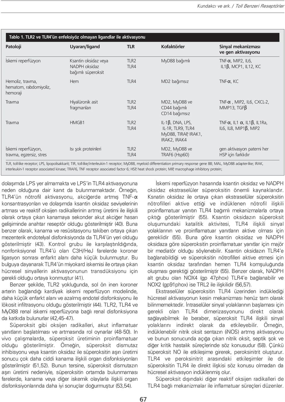 TNF-α, MIP2, IL6, NADPH oksidaz TLR4 IL1β, MCP1, IL12, KC bağımlı süperoksit Hemoliz, travma, Hem TLR4 MD2 bağımsız TNF-α, KC hematom, rabdomiyoliz, hemoraji Travma Hiyalüronik asit TLR2 MD2, MyD88