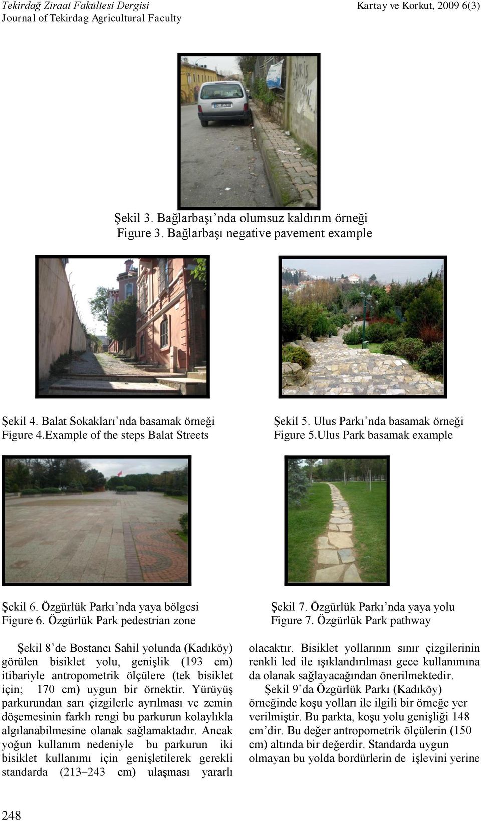 Özgürlük Park pedestrian zone Şekil 8 de Bostancı Sahil yolunda (Kadıköy) görülen bisiklet yolu, genişlik (193 cm) itibariyle antropometrik ölçülere (tek bisiklet için; 170 cm) uygun bir örnektir.