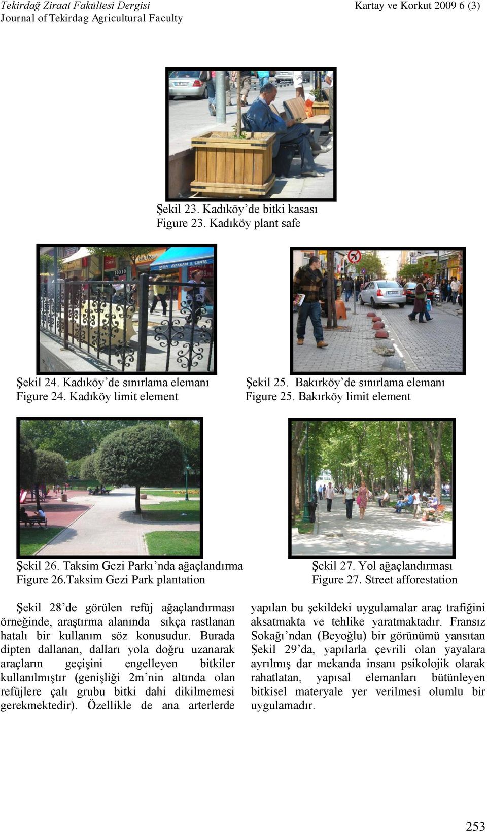 Taksim Gezi Park plantation Şekil 28 de görülen refüj ağaçlandırması örneğinde, araştırma alanında sıkça rastlanan hatalı bir kullanım söz konusudur.