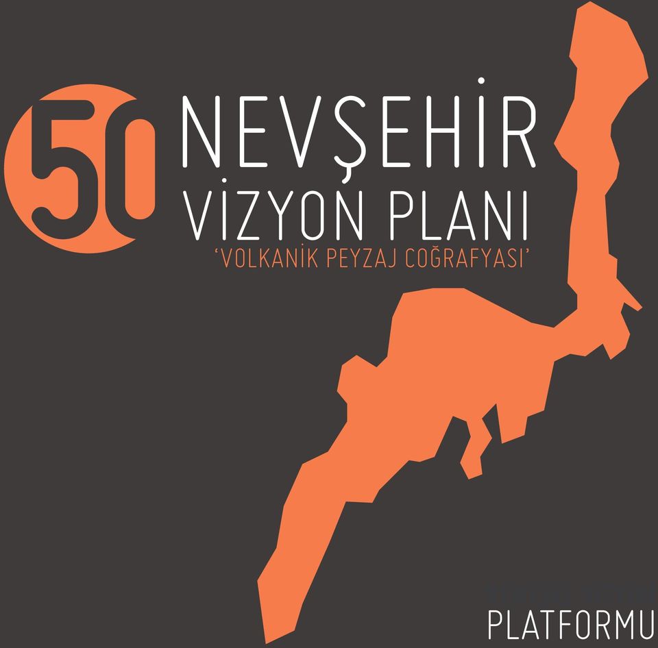 VİZYON PLANI