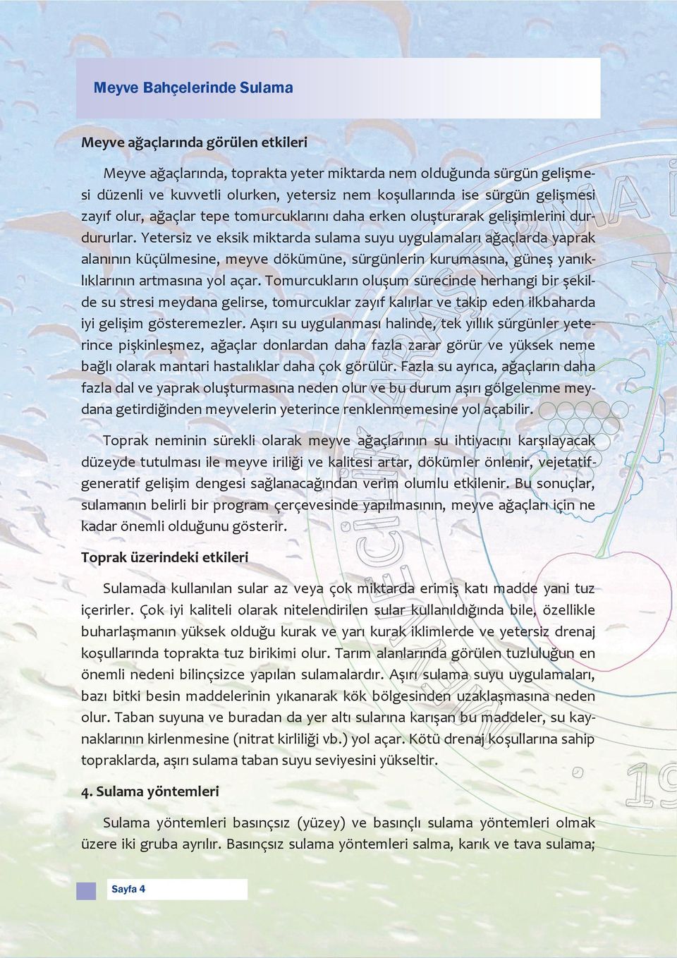 Yetersiz ve eksik miktarda sulama suyu uygulamaları ağaçlarda yaprak alanının küçülmesine, meyve dökümüne, sürgünlerin kurumasına, güneş yanıklıklarının artmasına yol açar.