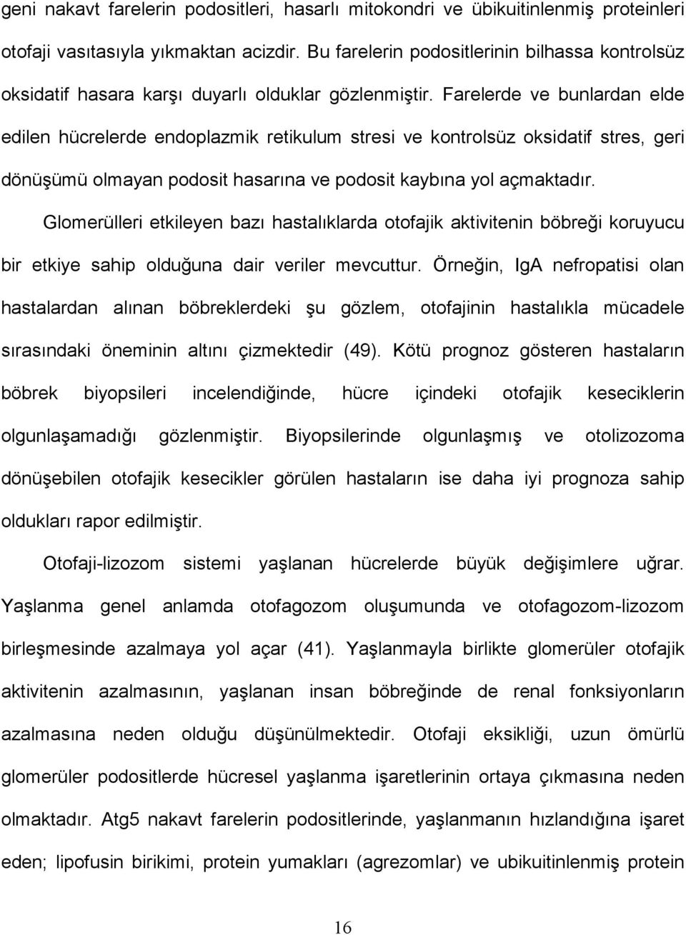 Farelerde ve bunlardan elde edilen hücrelerde endoplazmik retikulum stresi ve kontrolsüz oksidatif stres, geri dönüşümü olmayan podosit hasarına ve podosit kaybına yol açmaktadır.