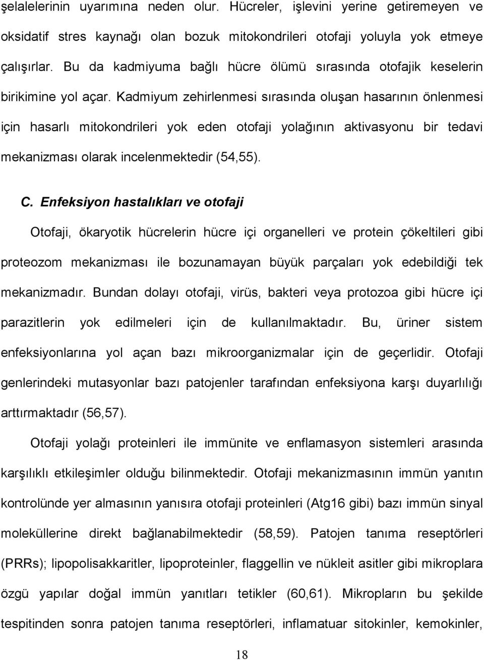 Kadmiyum zehirlenmesi sırasında oluşan hasarının önlenmesi için hasarlı mitokondrileri yok eden otofaji yolağının aktivasyonu bir tedavi mekanizması olarak incelenmektedir (54,55). C.