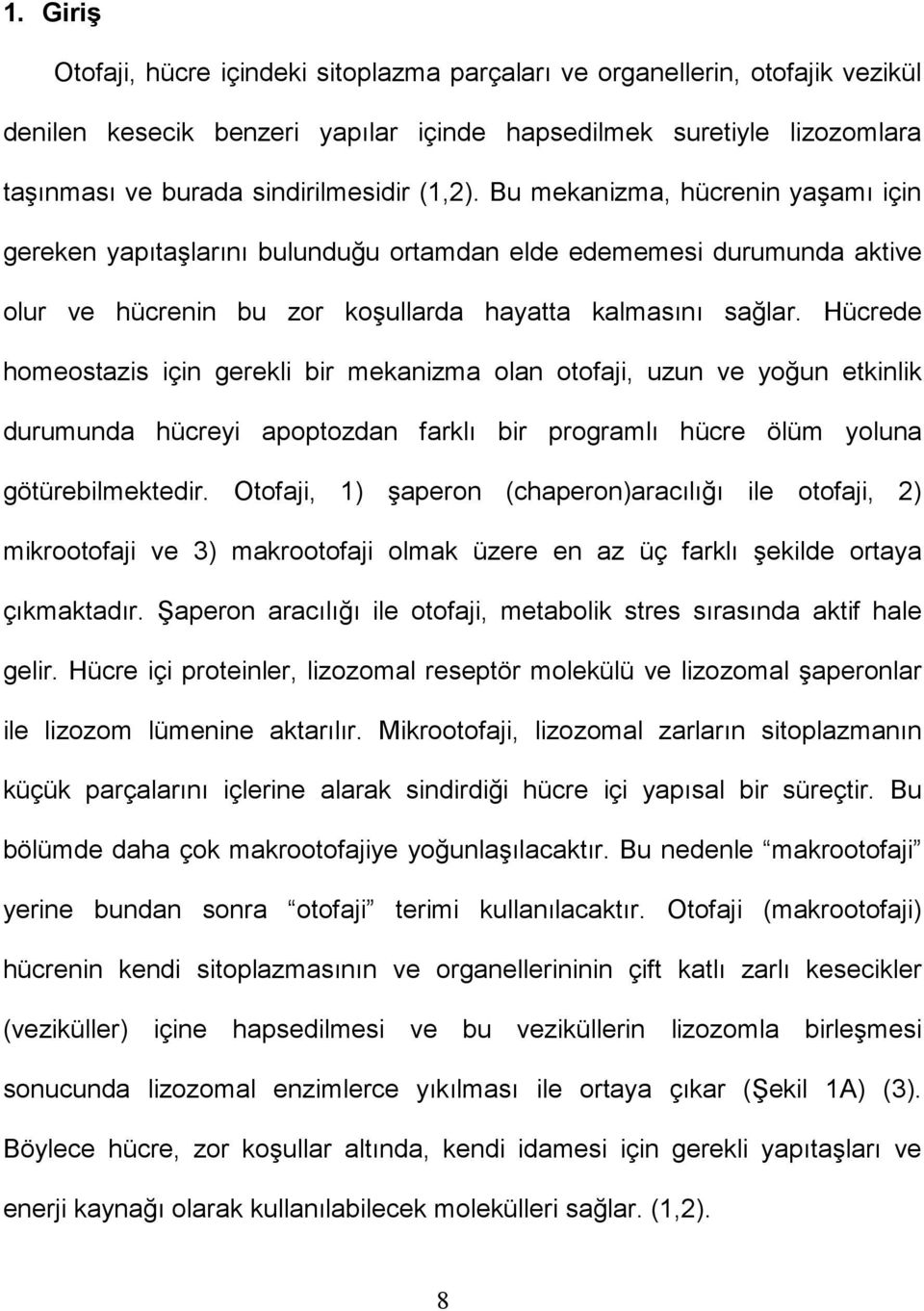 Hücrede homeostazis için gerekli bir mekanizma olan otofaji, uzun ve yoğun etkinlik durumunda hücreyi apoptozdan farklı bir programlı hücre ölüm yoluna götürebilmektedir.