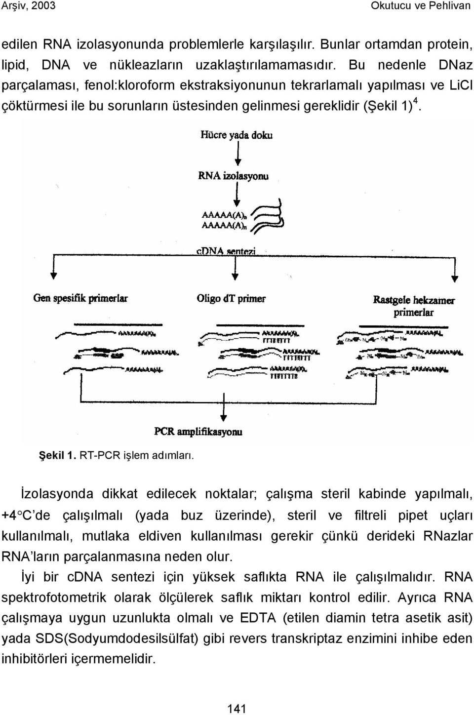 İzolasyonda dikkat edilecek noktalar; çalışma steril kabinde yapılmalı, +4 C de çalışılmalı (yada buz üzerinde), steril ve filtreli pipet uçları kullanılmalı, mutlaka eldiven kullanılması gerekir