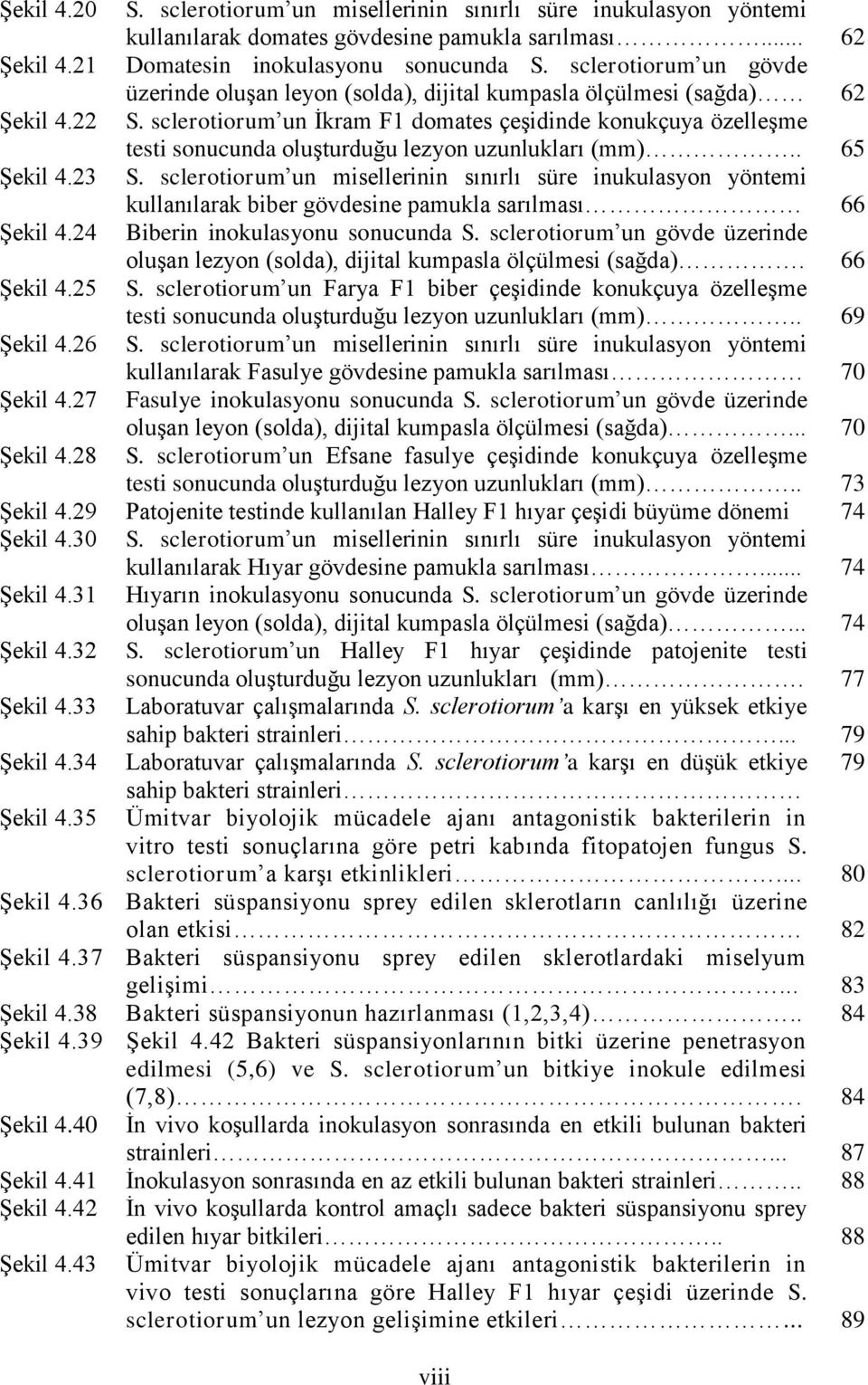 sclerotiorum un Ġkram F1 domates çeģidinde konukçuya özelleģme testi sonucunda oluģturduğu lezyon uzunlukları (mm).. 65 ġekil 4.23 S.