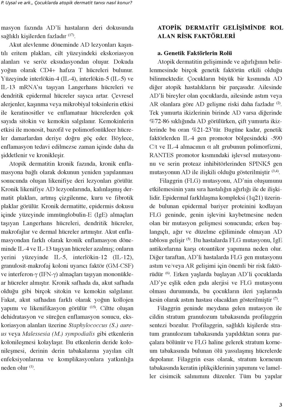 Yüzeyinde interlökin-4 (IL-4), interlökin-5 (IL-5) ve IL-13 mrna sı taşıyan Langerhans hücreleri ve dendritik epidermal hücreler sayıca artar.