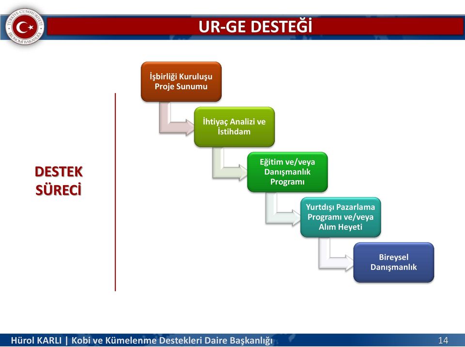 ve/veya Danışmanlık Programı Yurtdışı