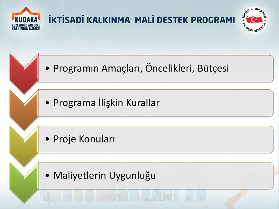 Programa İlişkin Kurallar